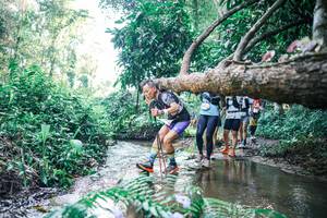 BIB: 
                            <button type="button" onclick="openModal(25442505)" class="btn btn-primary btn-sm float-right btn-popup" data-toggle="modal" data-target=".modal-high-quality">
                        <i class="fas fa-shopping-cart"></i> Add to Cart
                    </button>
                                            <button type="button" onclick="isThisMe(25442505, true)" class="btn btn-success btn-sm float-right btn-popup btn-isme hidden" data-toggle="tooltip" data-placement="bottom" title="นี่คือรูปของคุณใช่ไหม คลิกที่นี่เพื่อเอาเข้าอัลบั้ม">
                        <i class="fas fa-plus"></i> Add to album
                    </button>
                    <button type="button" onclick="isThisMe(25442505, false)" class="btn btn-warning btn-sm float-right btn-popup btn-isnotme hidden">
                        <i class="fas fa-ban"></i> Remove from album
                    </button>